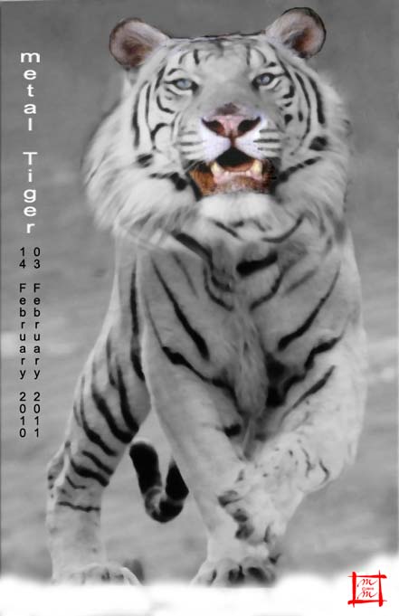 Das Jahr des Tigers