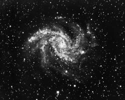 NGC 6946 im Schwan