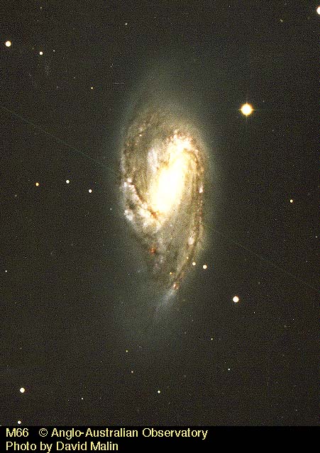 M 66