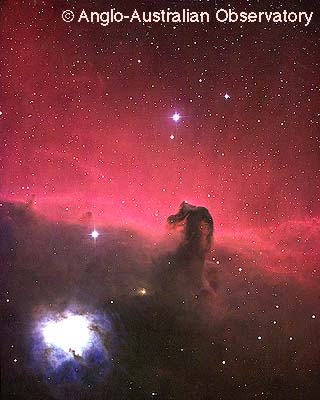 Horsehead Nebula