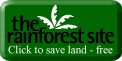 The Rainforest Site